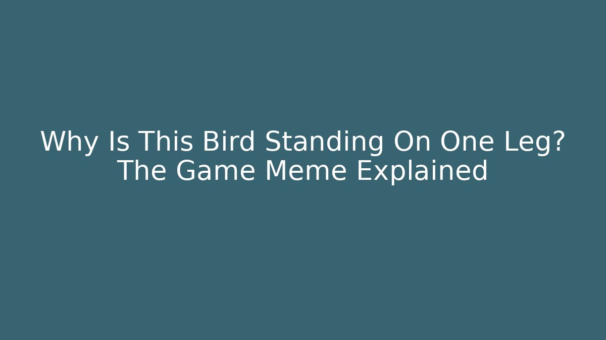 Why Is This Bird Standing On One Leg? The Game Meme Explained