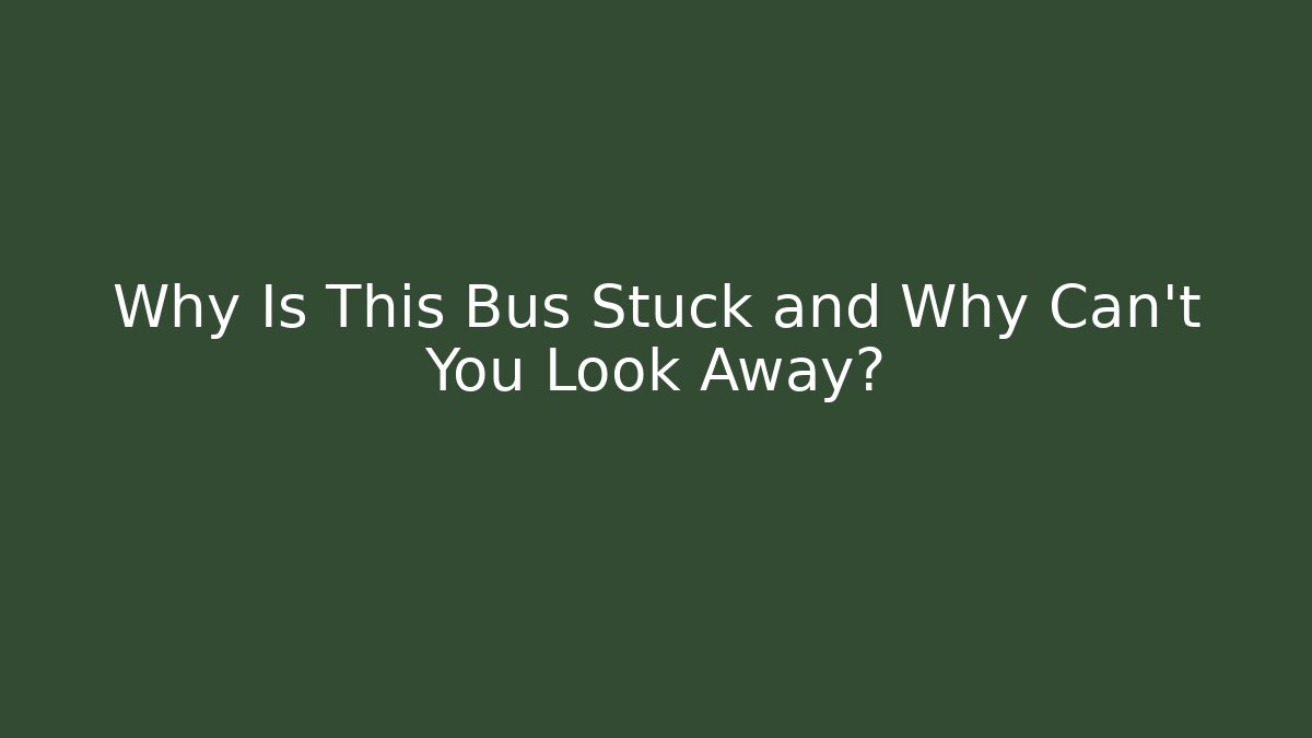 Why Is This Bus Stuck and Why Can't You Look Away?