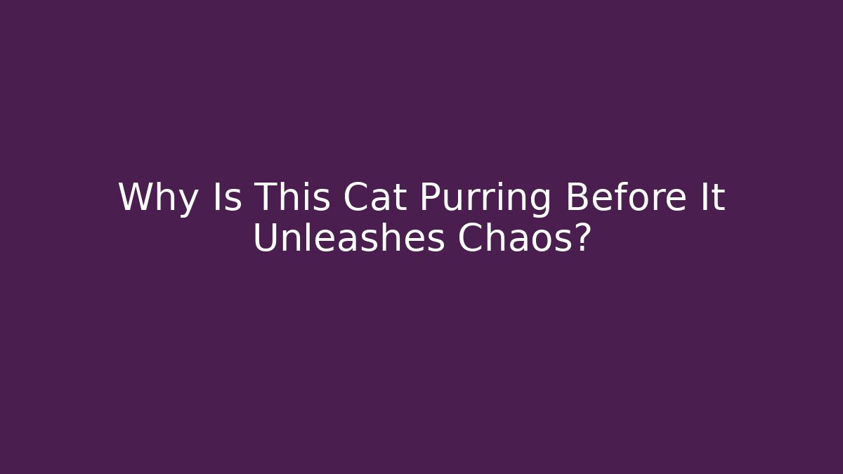 Why Is This Cat Purring Before It Unleashes Chaos?
