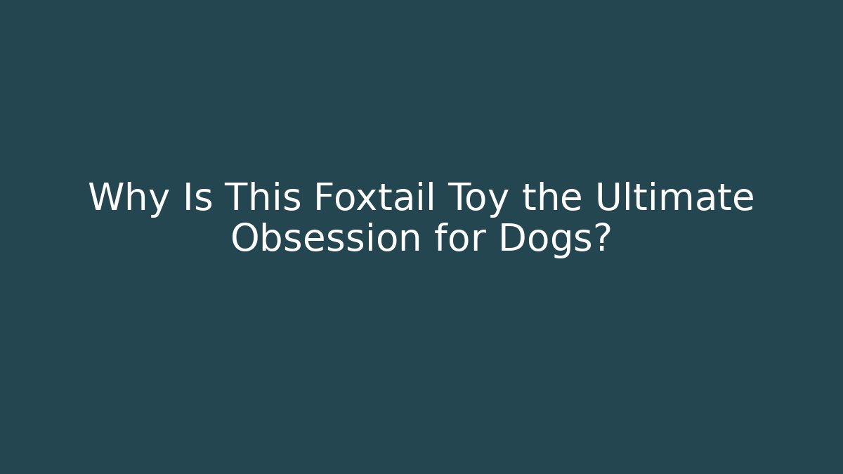 Why Is This Foxtail Toy the Ultimate Obsession for Dogs?