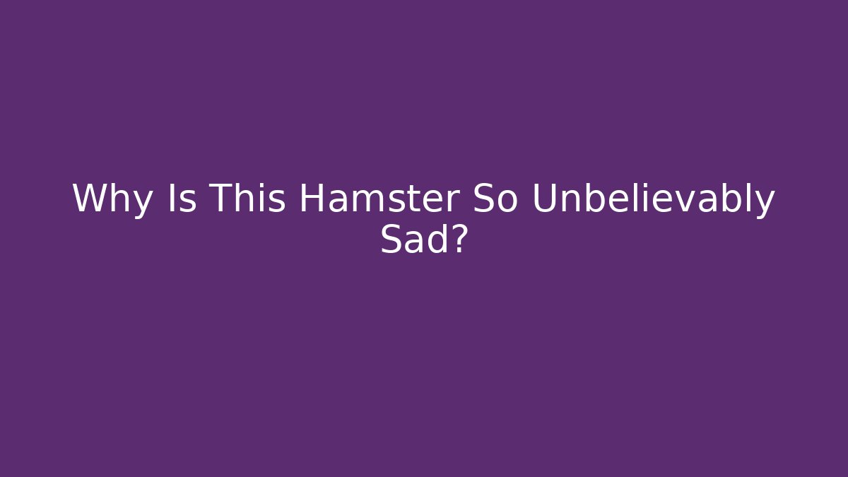 Why Is This Hamster So Unbelievably Sad?