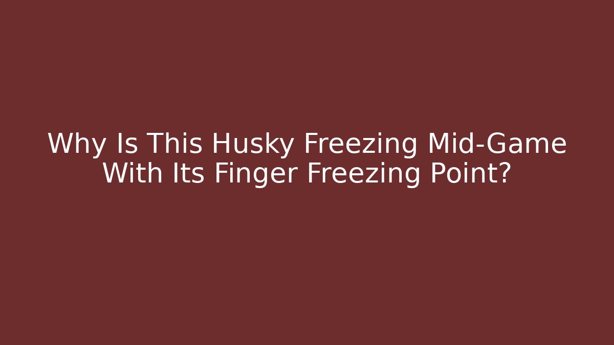 Why Is This Husky Freezing Mid-Game With Its Finger Freezing Point?