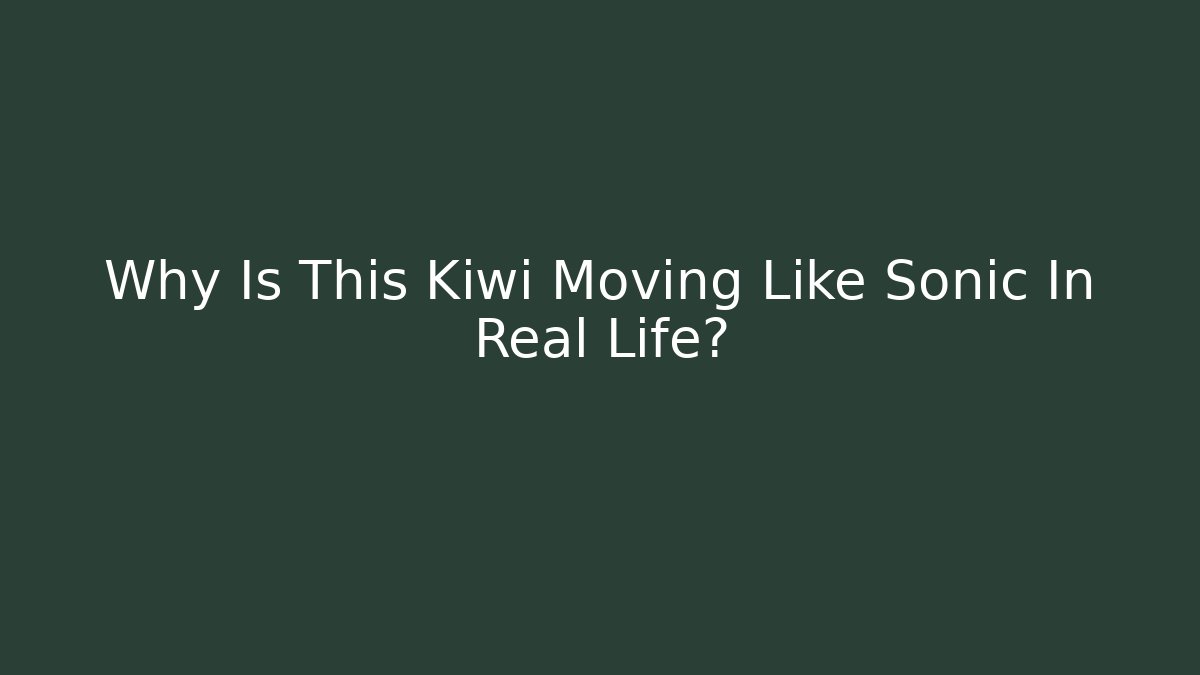 Why Is This Kiwi Moving Like Sonic In Real Life?
