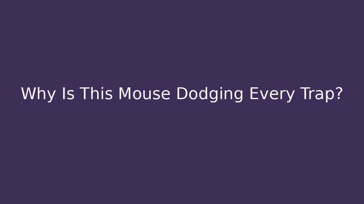 Why Is This Mouse Dodging Every Trap? - Critter Realm