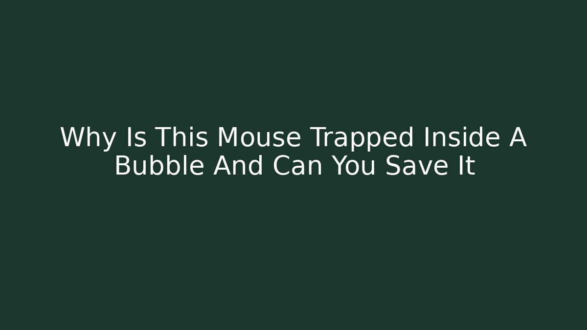 Why Is This Mouse Trapped Inside A Bubble And Can You Save It