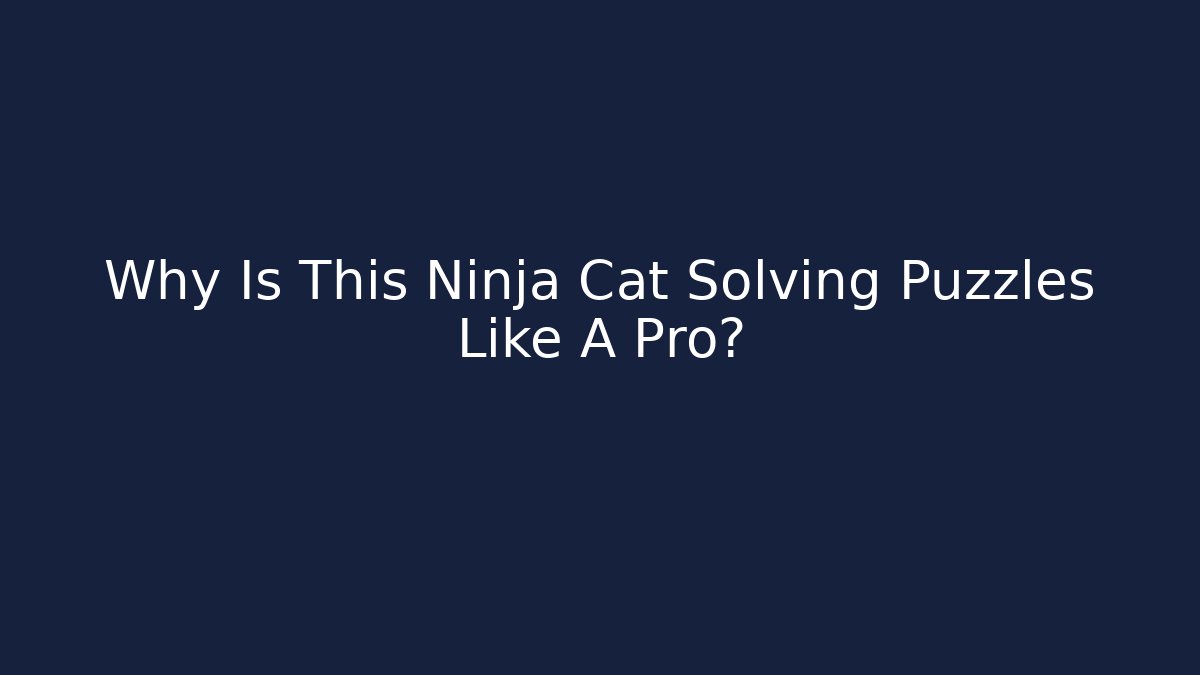 Why Is This Ninja Cat Solving Puzzles Like A Pro?