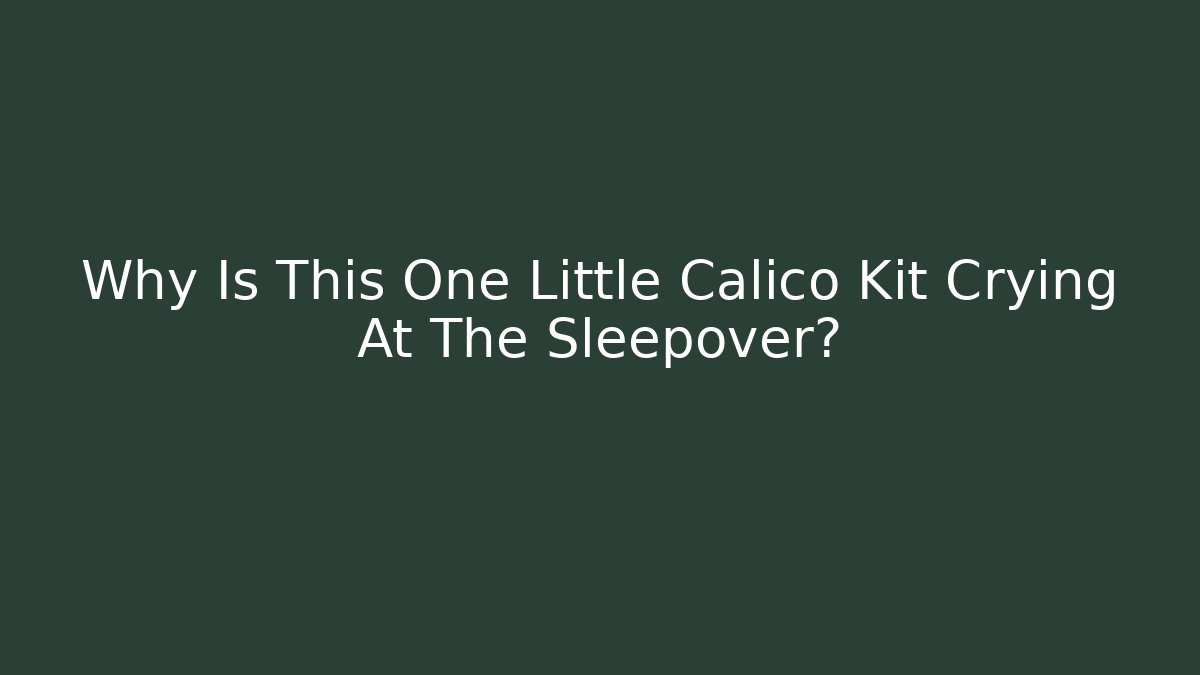 Why Is This One Little Calico Kit Crying At The Sleepover?