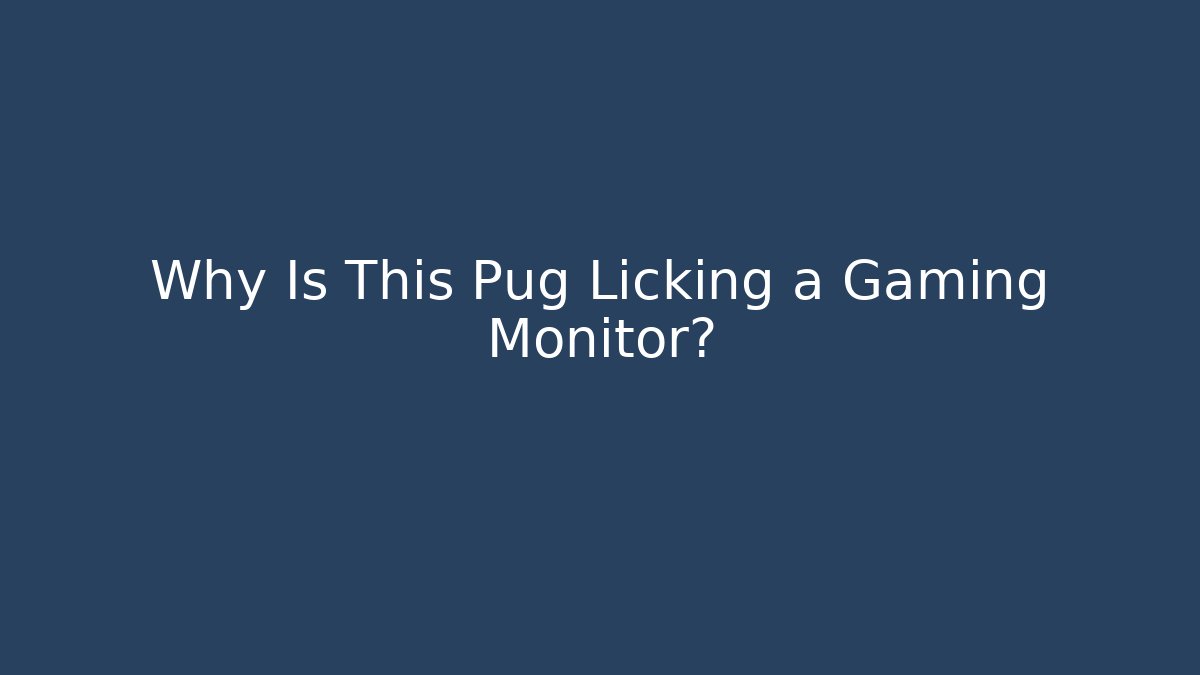 Why Is This Pug Licking a Gaming Monitor?