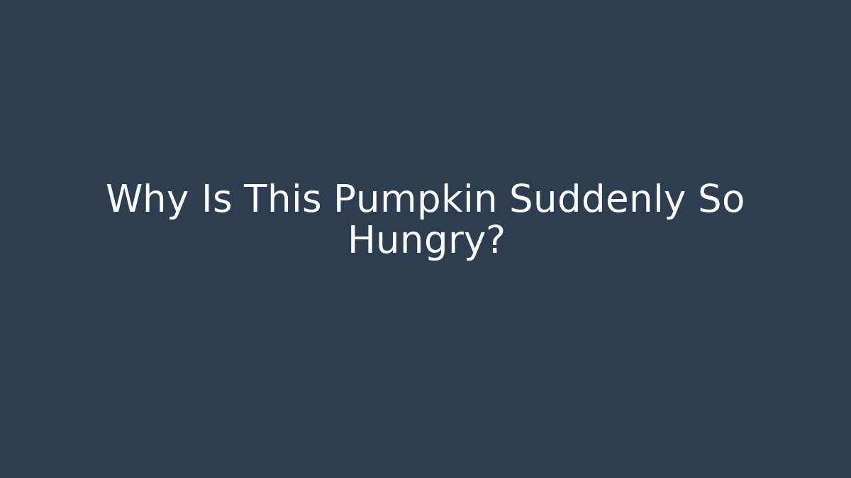 Why Is This Pumpkin Suddenly So Hungry? - Critter Realm