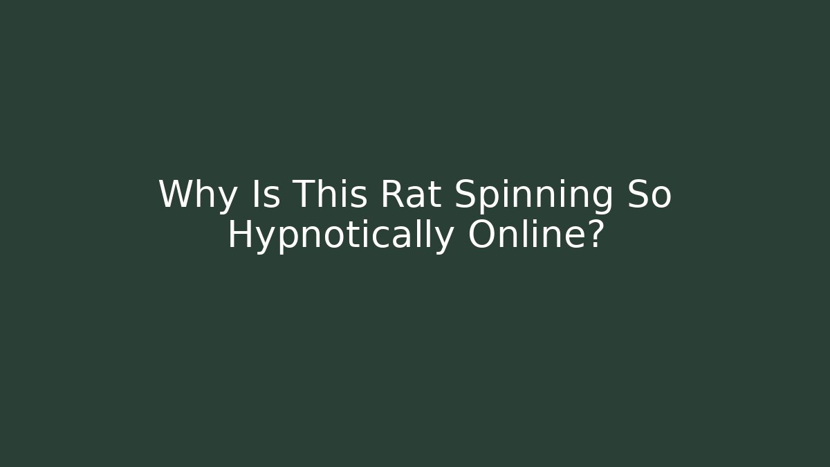 Why Is This Rat Spinning So Hypnotically Online?