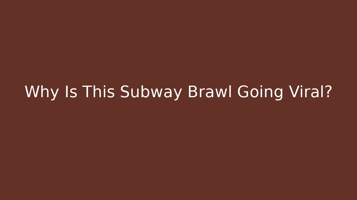 Why Is This Subway Brawl Going Viral?