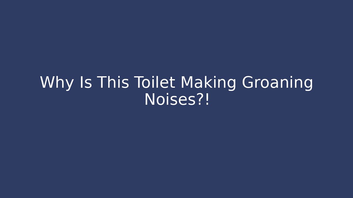 Why Is This Toilet Making Groaning Noises?!
