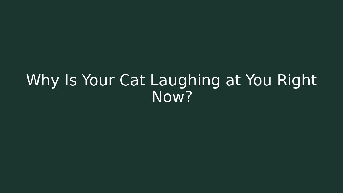 Why Is Your Cat Laughing at You Right Now?