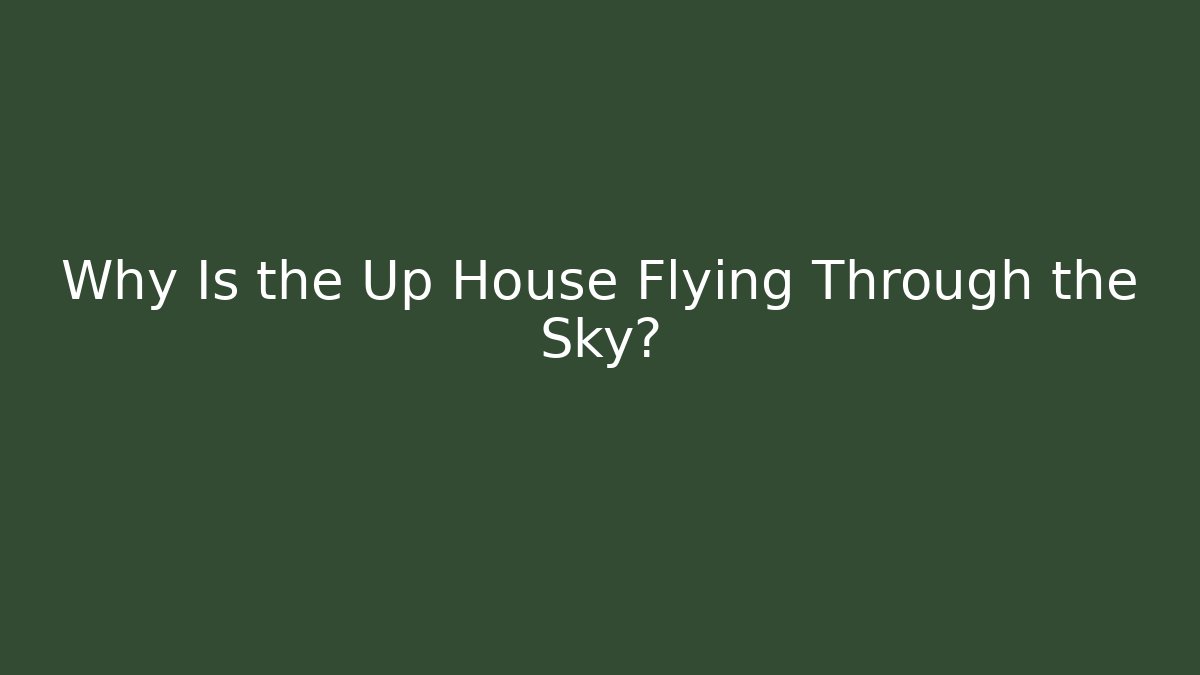 Why Is the Up House Flying Through the Sky?