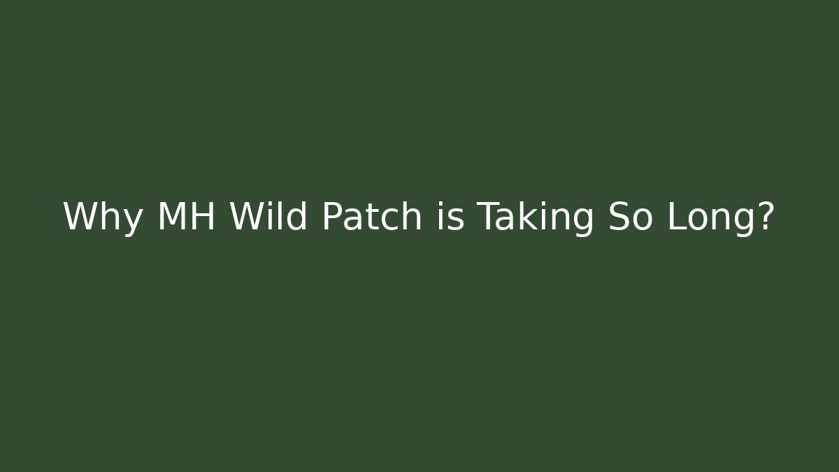 Why MH Wild Patch is Taking So Long?