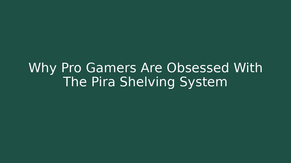 Why Pro Gamers Are Obsessed With The Pira Shelving System