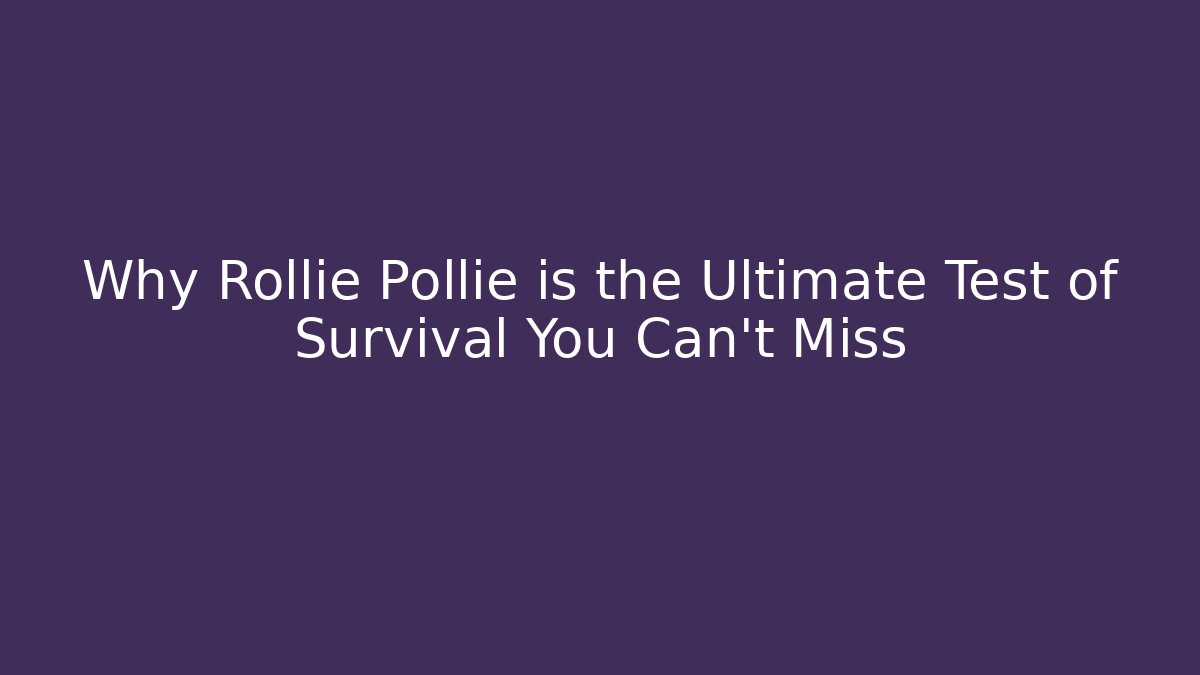 Why Rollie Pollie is the Ultimate Test of Survival You Can't Miss