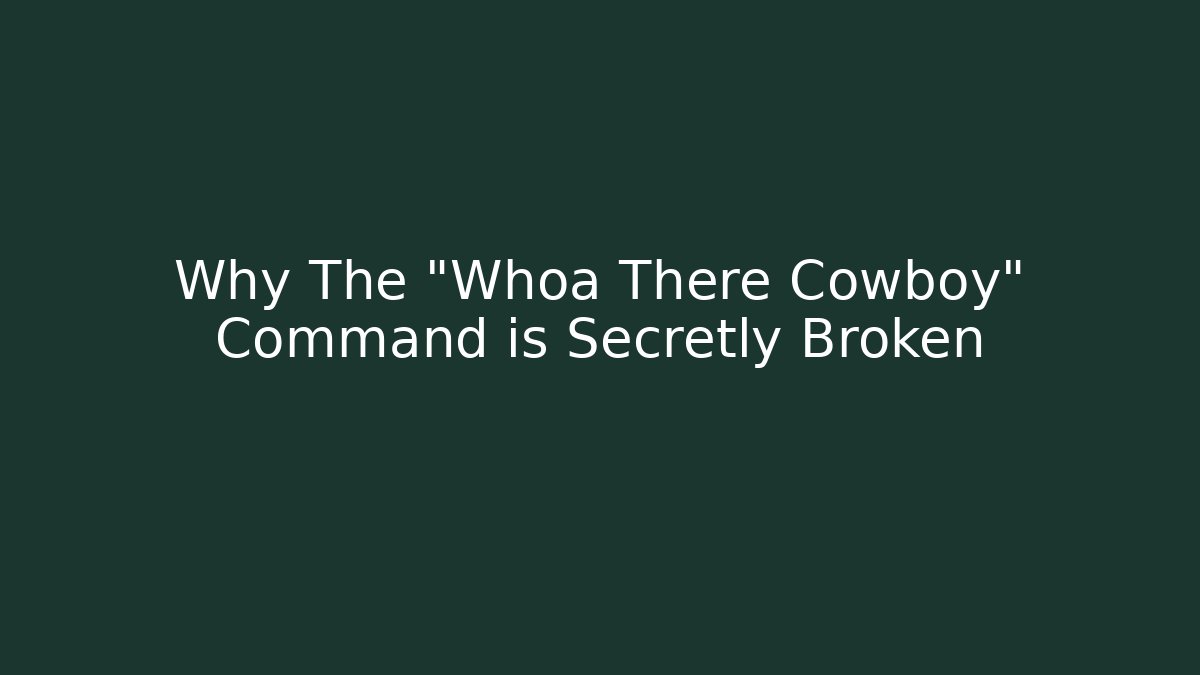 Why The "Whoa There Cowboy" Command is Secretly Broken
