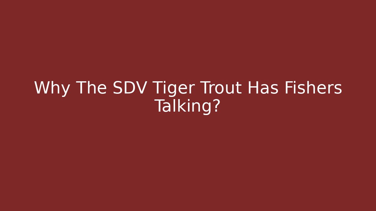 Why The SDV Tiger Trout Has Fishers Talking?