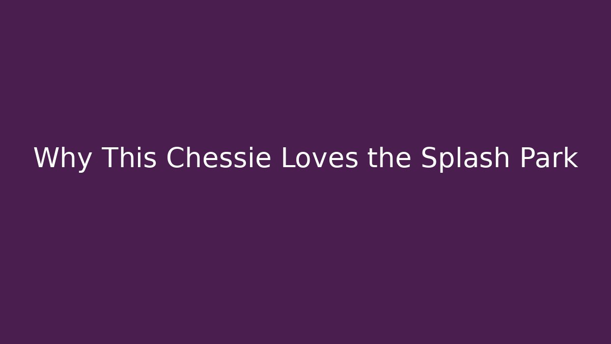Why This Chessie Loves the Splash Park