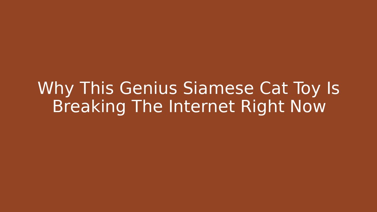 Why This Genius Siamese Cat Toy Is Breaking The Internet Right Now