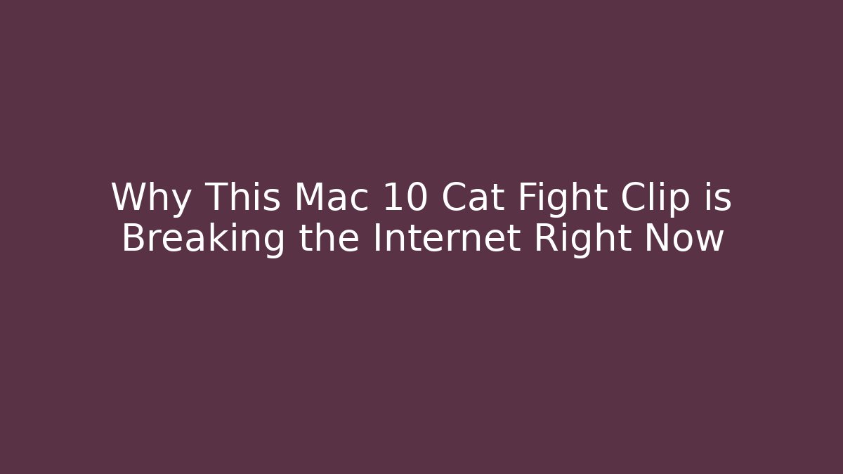 Why This Mac 10 Cat Fight Clip is Breaking the Internet Right Now