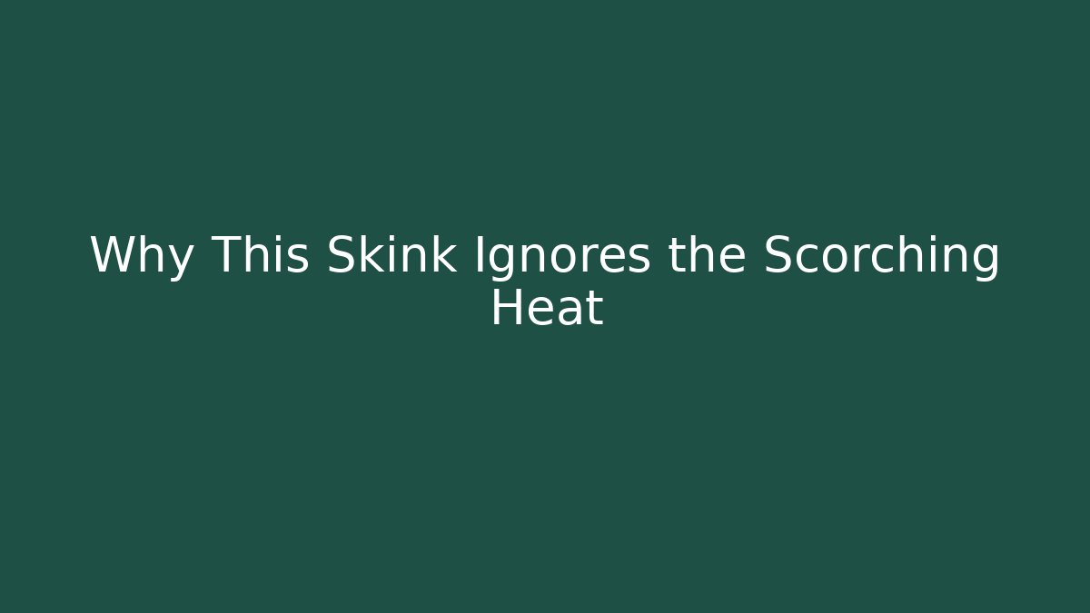 Why This Skink Ignores the Scorching Heat