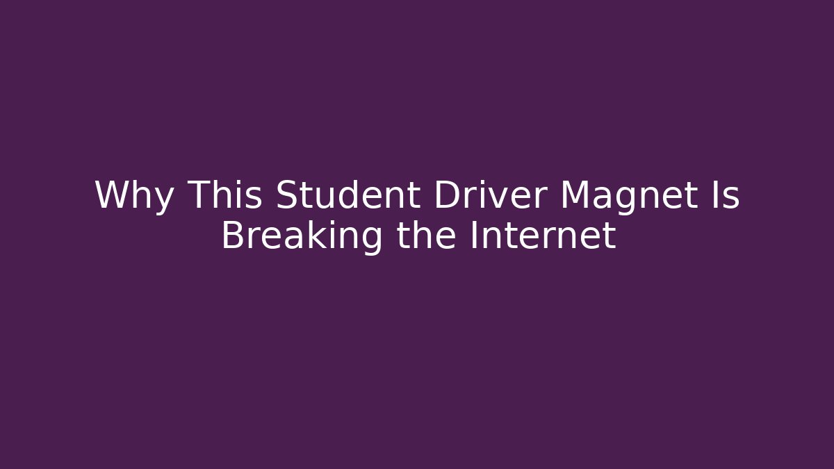 Why This Student Driver Magnet Is Breaking the Internet