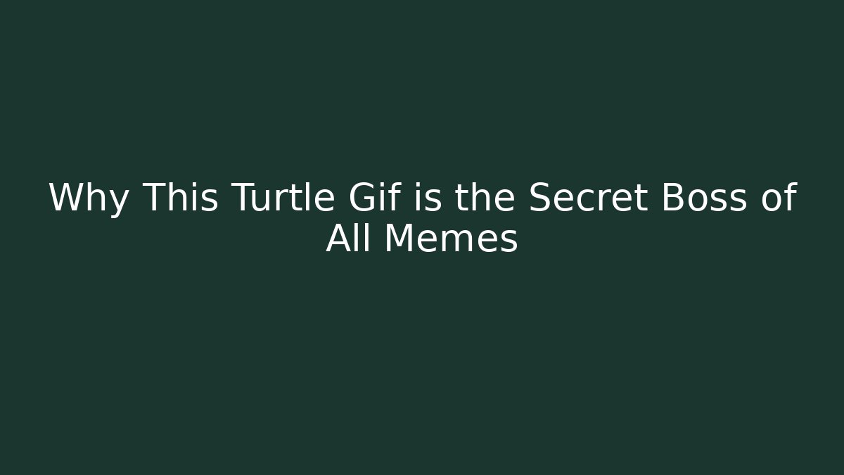 Why This Turtle Gif is the Secret Boss of All Memes