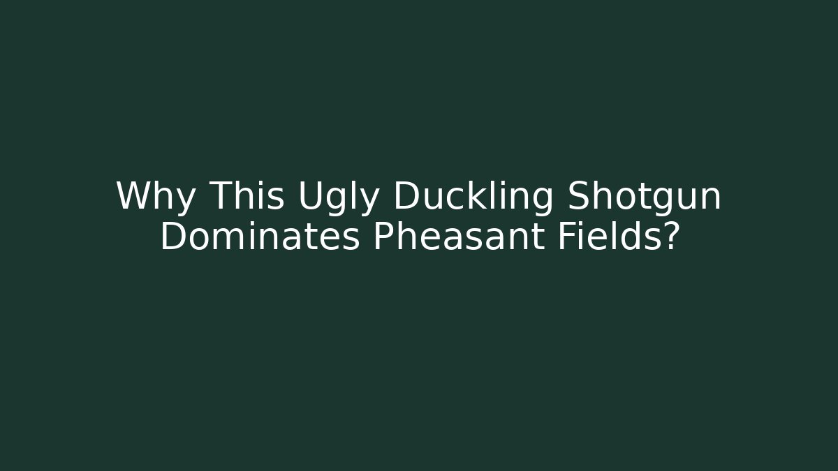 Why This Ugly Duckling Shotgun Dominates Pheasant Fields?