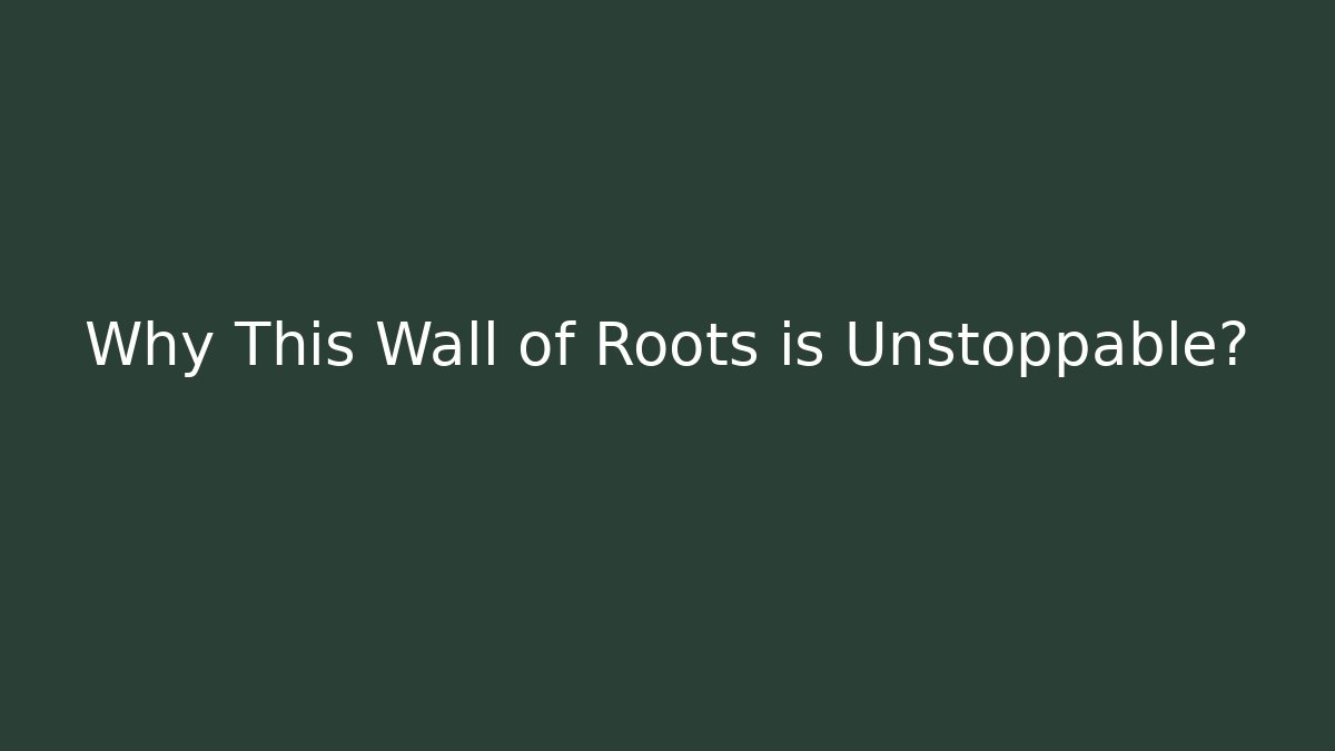 Why This Wall of Roots is Unstoppable?