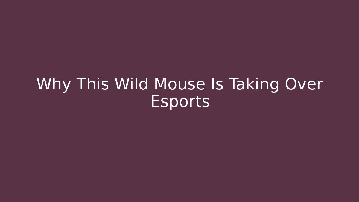 Why This Wild Mouse Is Taking Over Esports - Critter Realm