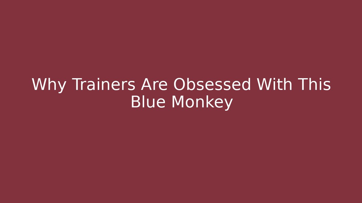 Why Trainers Are Obsessed With This Blue Monkey