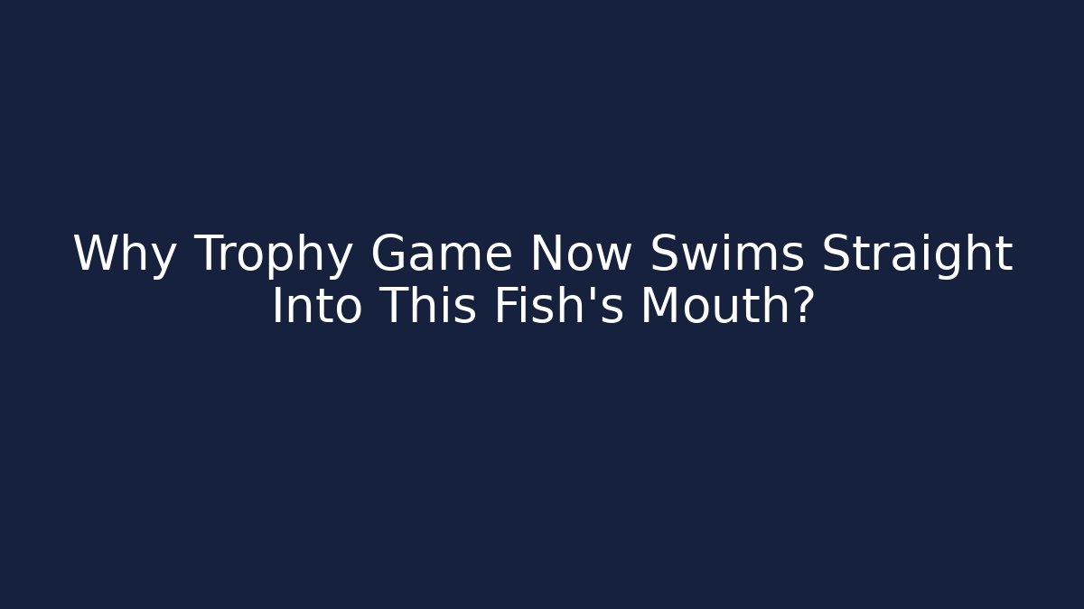 Why Trophy Game Now Swims Straight Into This Fish's Mouth?