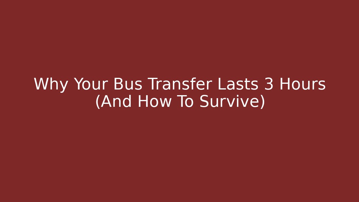 Why Your Bus Transfer Lasts 3 Hours (And How To Survive)