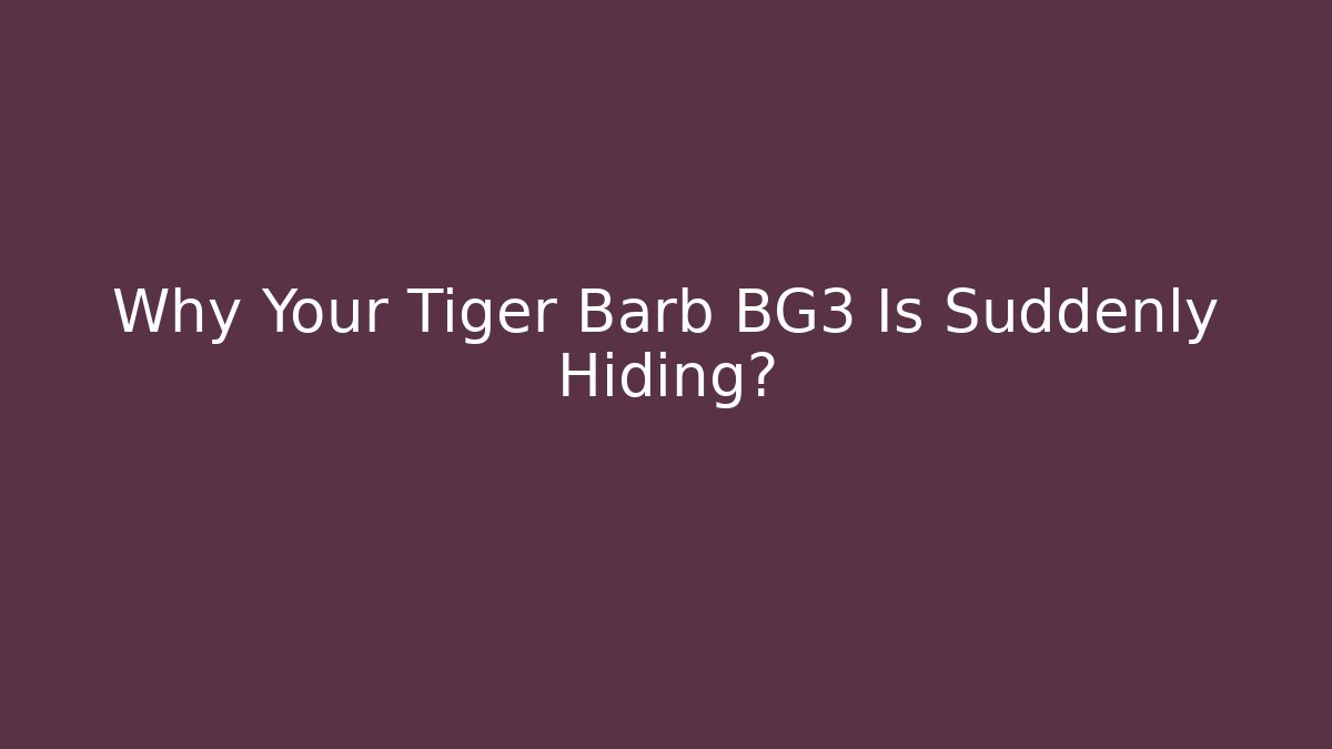 Why Your Tiger Barb BG3 Is Suddenly Hiding?