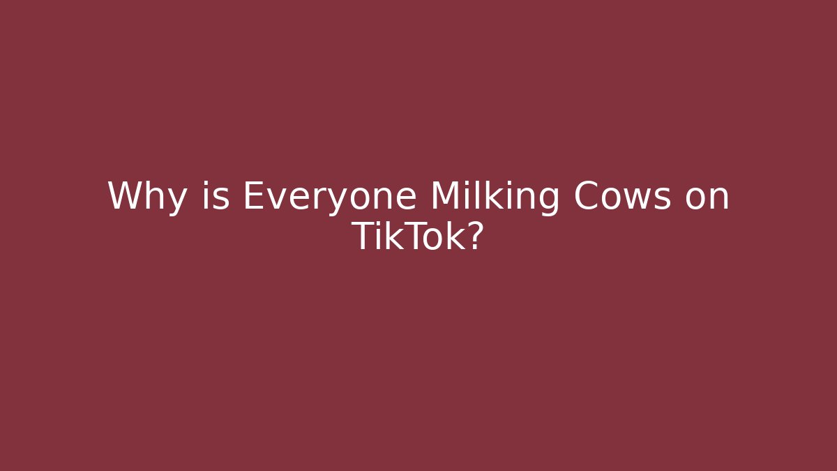 Why is Everyone Milking Cows on TikTok?