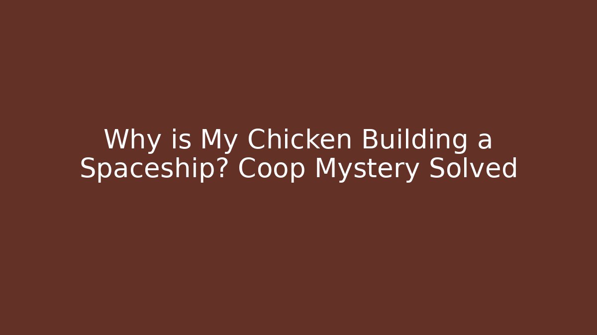 Why is My Chicken Building a Spaceship? Coop Mystery Solved