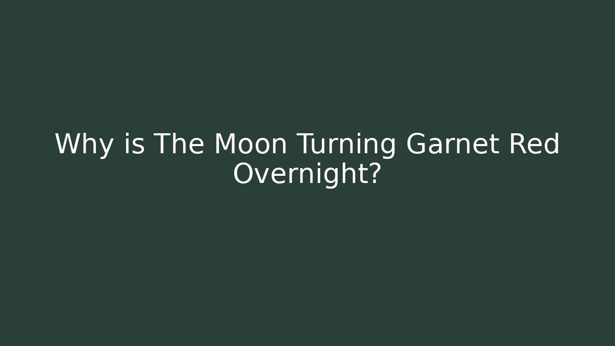 Why is The Moon Turning Garnet Red Overnight? - Critter Realm