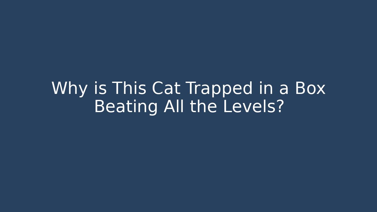 Why is This Cat Trapped in a Box Beating All the Levels? - Critter Realm