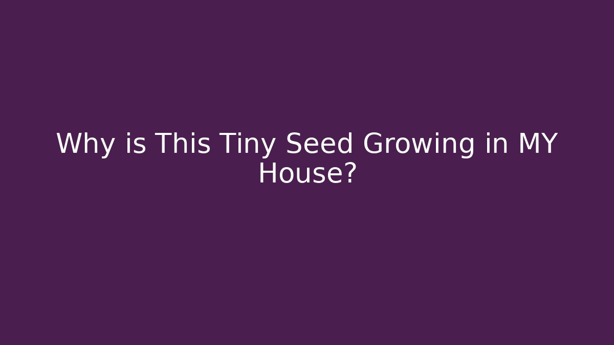 Why is This Tiny Seed Growing in MY House? - Critter Realm