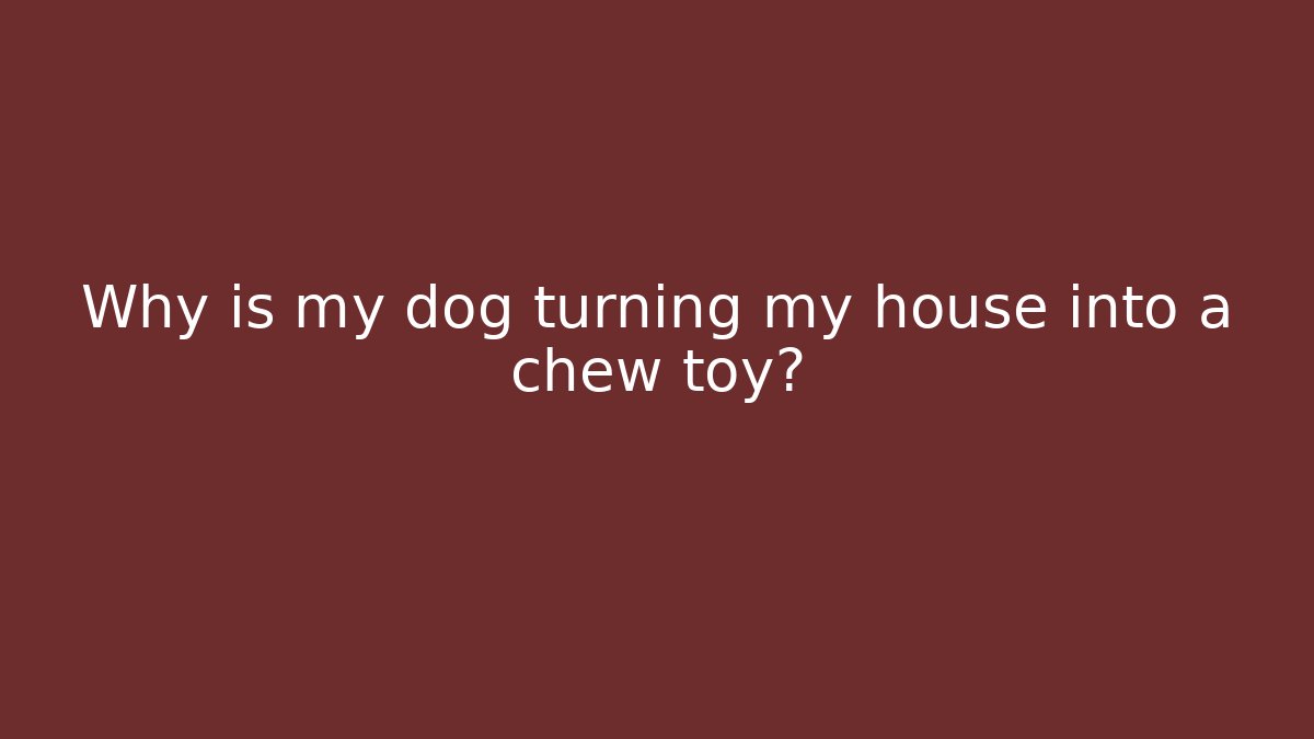 Why is my dog turning my house into a chew toy?