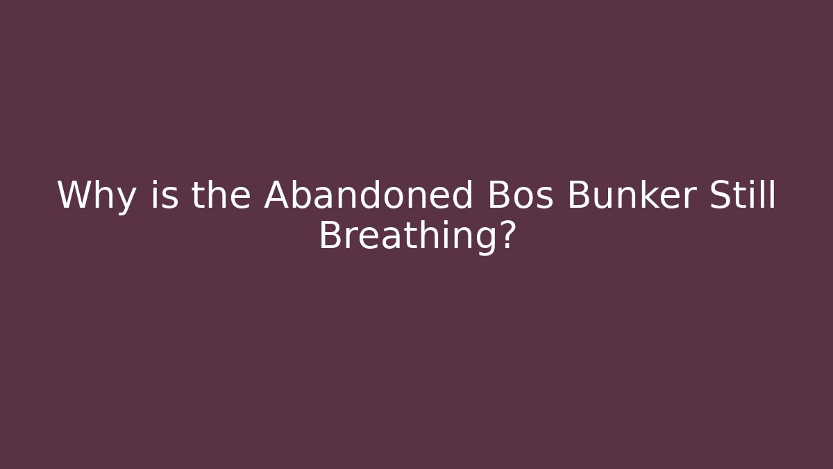 Why is the Abandoned Bos Bunker Still Breathing?