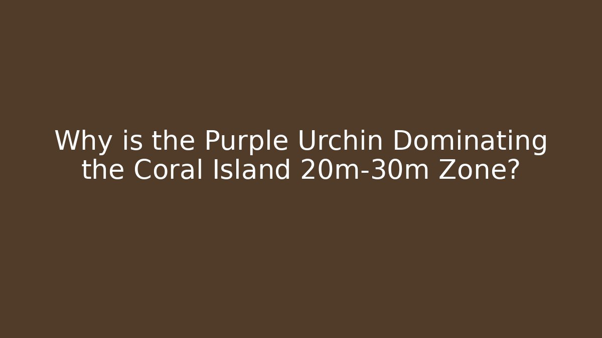 Why is the Purple Urchin Dominating the Coral Island 20m-30m Zone?