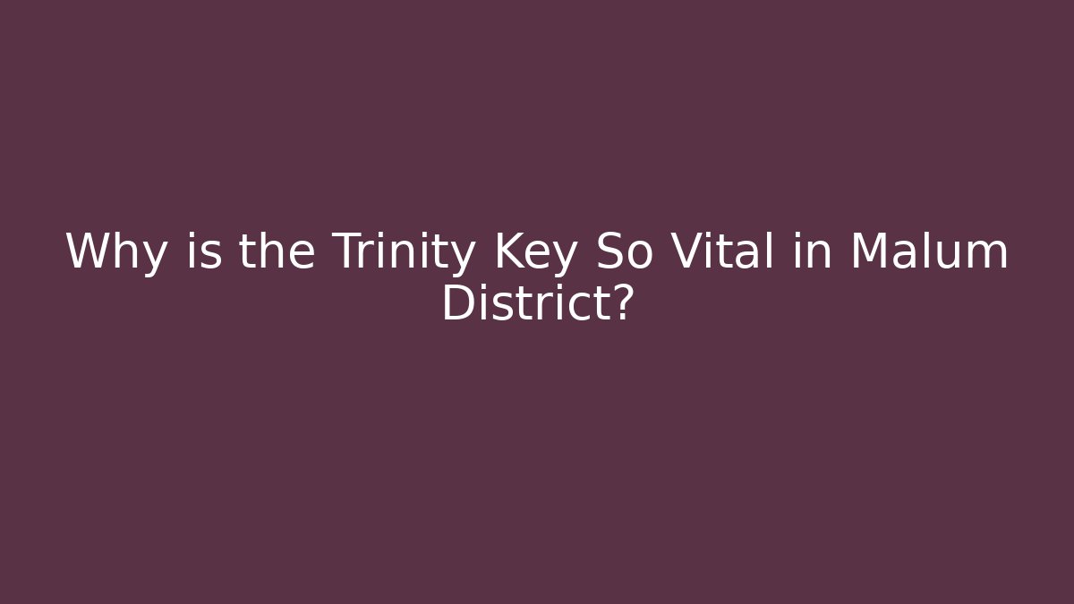 Why is the Trinity Key So Vital in Malum District?