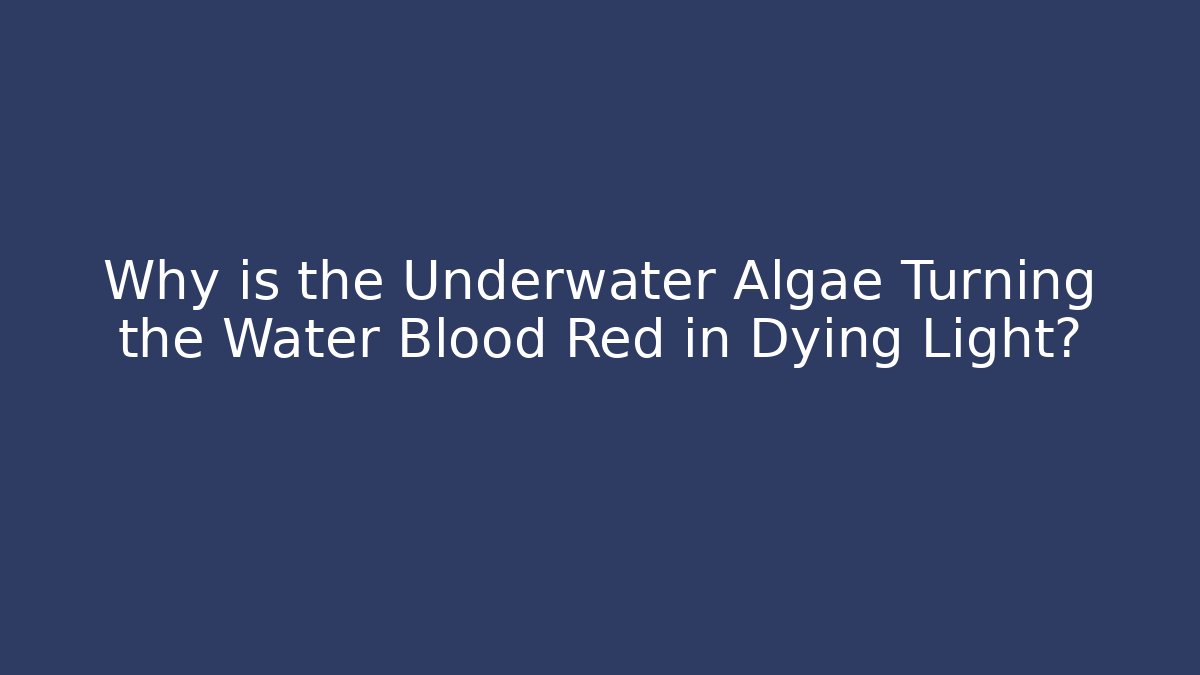 Why is the Underwater Algae Turning the Water Blood Red in Dying Light?