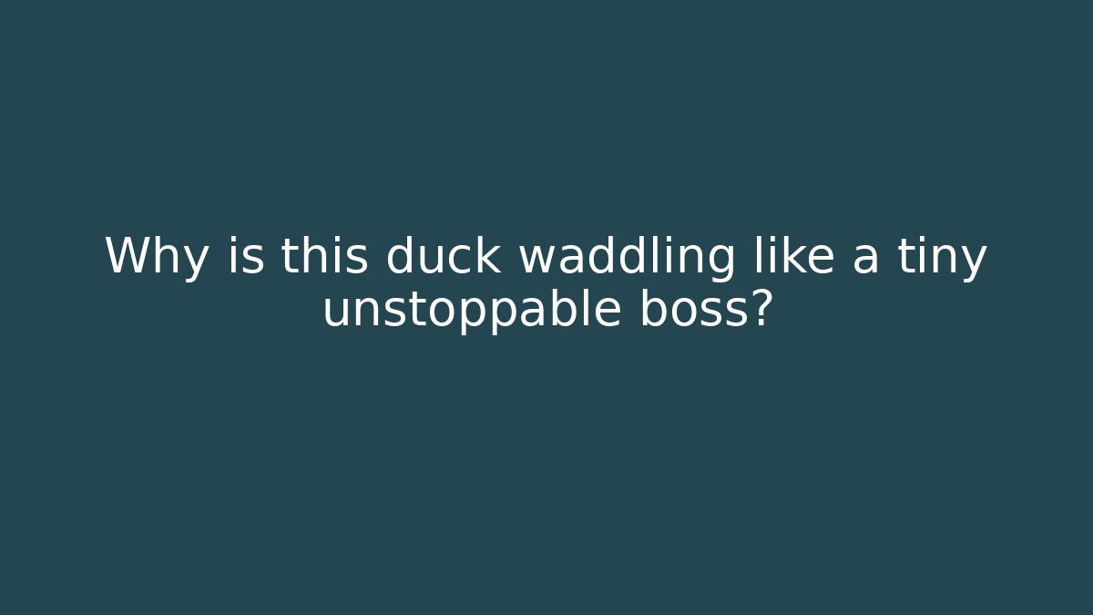 Why is this duck waddling like a tiny unstoppable boss?