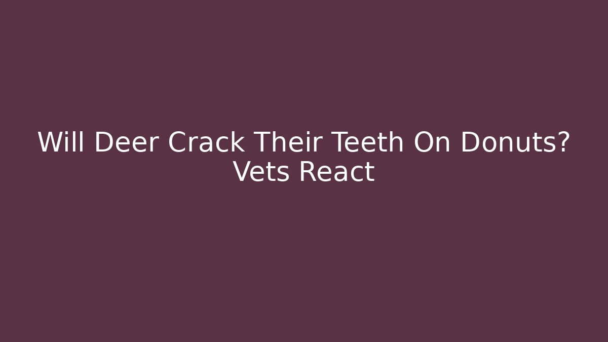 Will Deer Crack Their Teeth On Donuts? Vets React - Critter Realm