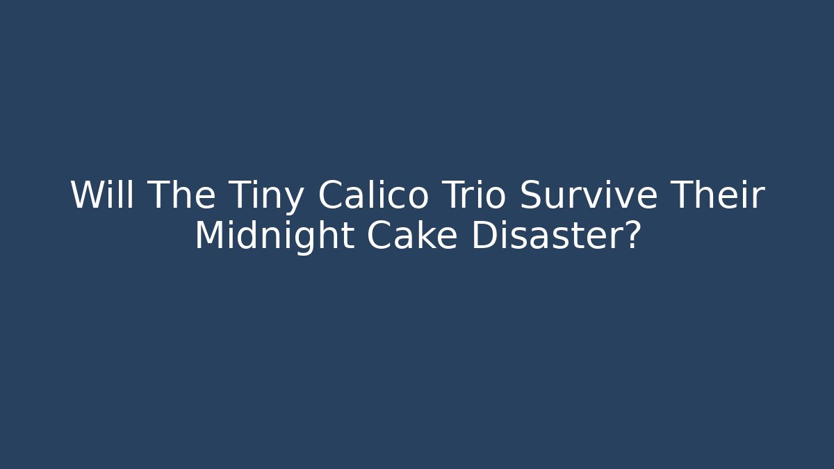 Will The Tiny Calico Trio Survive Their Midnight Cake Disaster?