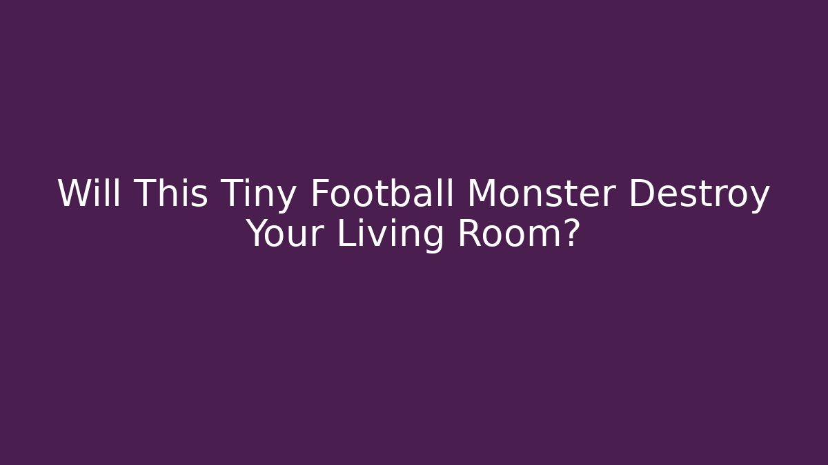 Will This Tiny Football Monster Destroy Your Living Room? - Critter Realm